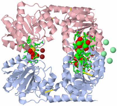 Image Biol. Unit 1 - sites