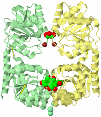 Image Biological Unit 2