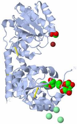 Image Biological Unit 3