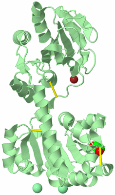 Image Biological Unit 4