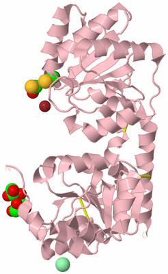 Image Biological Unit 5