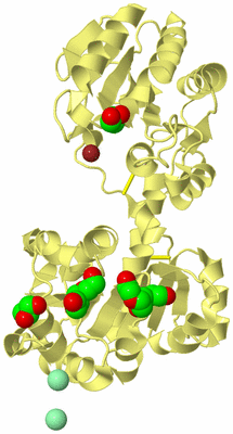 Image Biological Unit 6