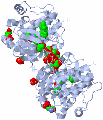 Image Biological Unit 1