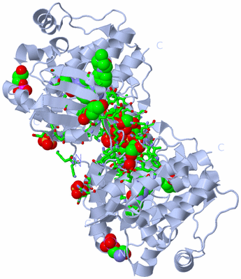 Image Biol. Unit 1 - sites