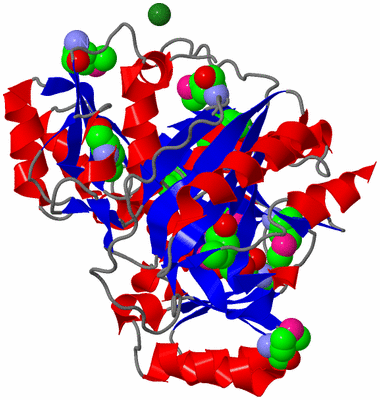 Image Asym./Biol. Unit