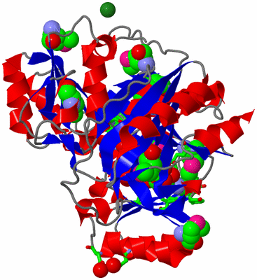 Image Asym./Biol. Unit - sites