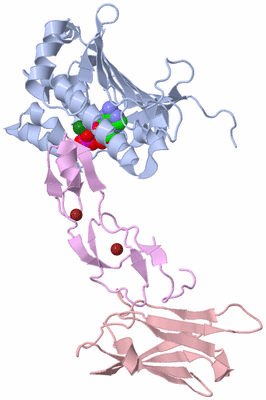 Image Biological Unit 1