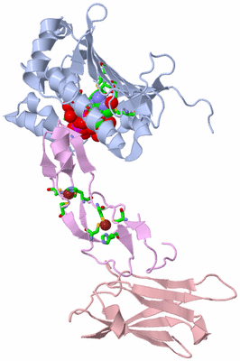 Image Biol. Unit 1 - sites