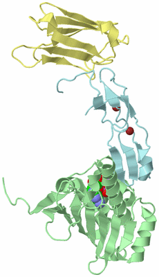 Image Biological Unit 2