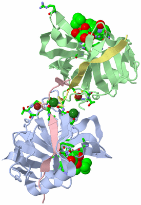 Image Asym./Biol. Unit - sites