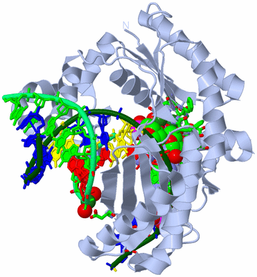 Image Biol. Unit 1 - sites