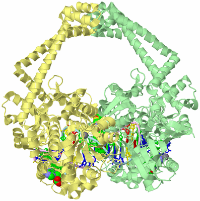 Image Asym./Biol. Unit