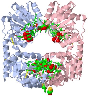 Image Biol. Unit 1 - sites