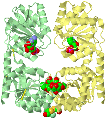 Image Biological Unit 2