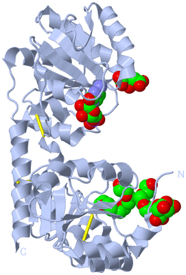 Image Biological Unit 3