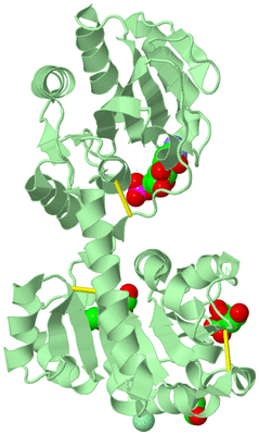 Image Biological Unit 4