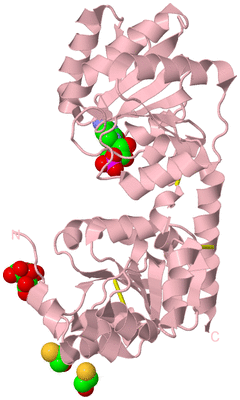 Image Biological Unit 5