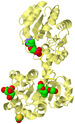 Image Biological Unit 6