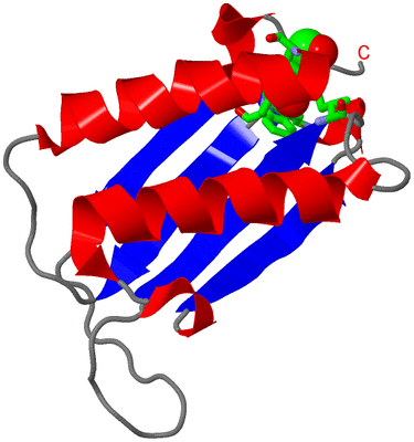 Image Asym. Unit - sites