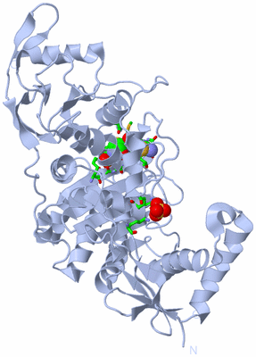 Image Biol. Unit 1 - sites