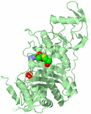 Image Biological Unit 2