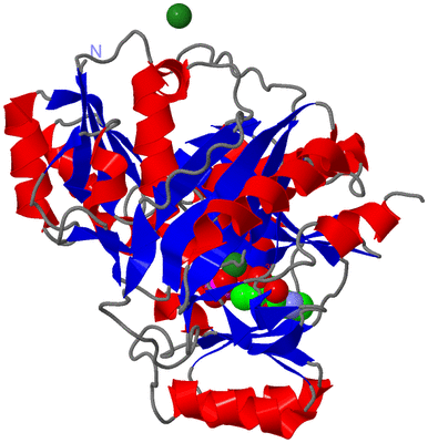 Image Asym./Biol. Unit