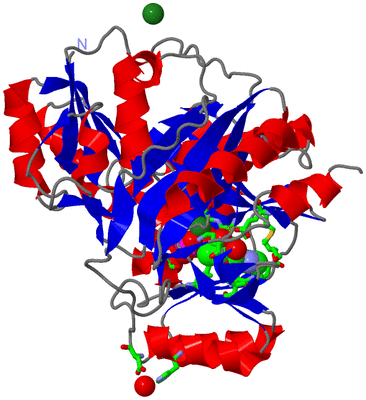 Image Asym./Biol. Unit - sites