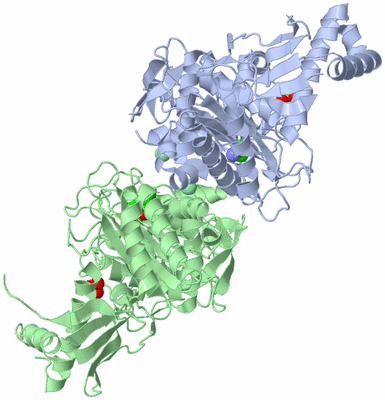 Image Asym./Biol. Unit