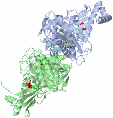 Image Asym./Biol. Unit - sites