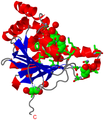 Image Asym. Unit - sites