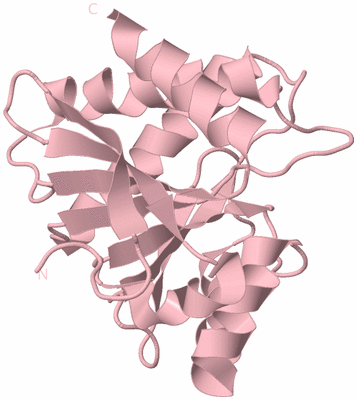 Image Biological Unit 3