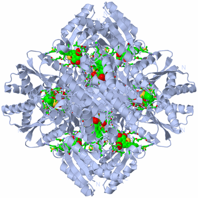 Image Biol. Unit 1 - sites