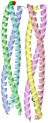 Image Asymmetric Unit