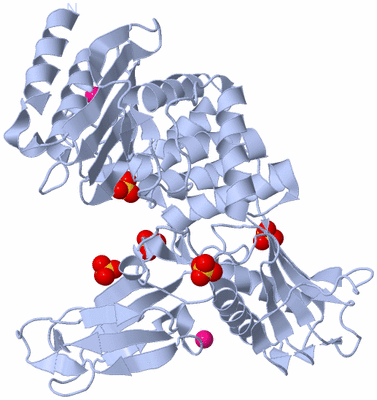 Image Biological Unit 1