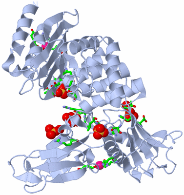 Image Biol. Unit 1 - sites