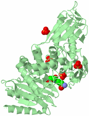 Image Biological Unit 2