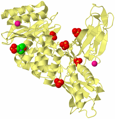 Image Biological Unit 4