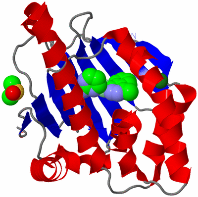 Image Asym./Biol. Unit