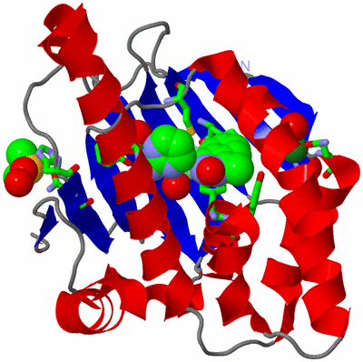 Image Asym./Biol. Unit - sites