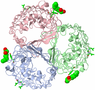 Image Asym./Biol. Unit - sites