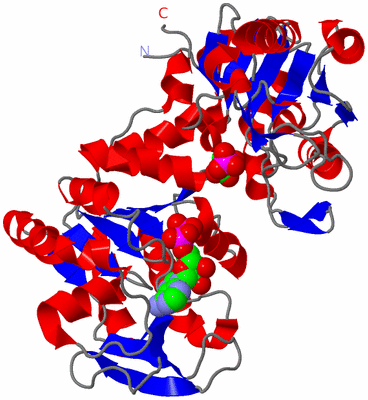 Image Asym./Biol. Unit