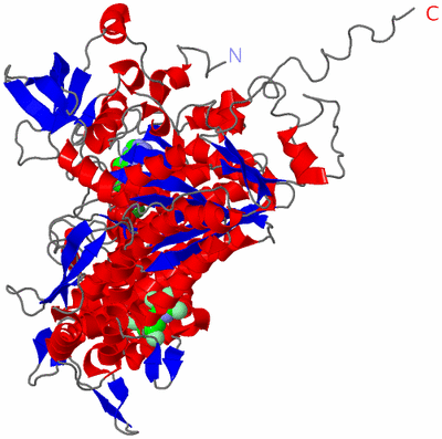 Image Asym./Biol. Unit