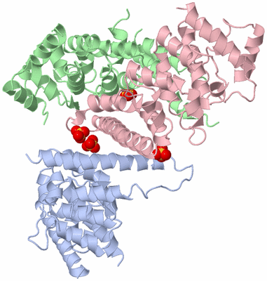Image Asymmetric Unit