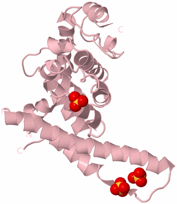 Image Biological Unit 3