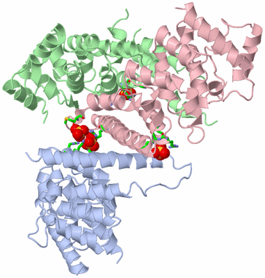 Image Asym. Unit - sites