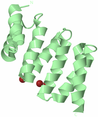 Image Biological Unit 2