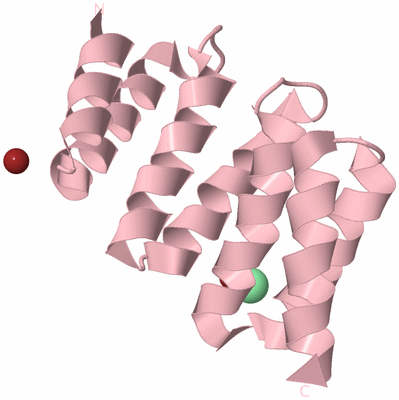 Image Biological Unit 3