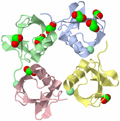 Image Biological Unit 1