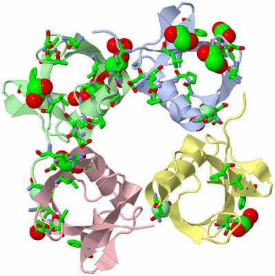 Image Biol. Unit 1 - sites