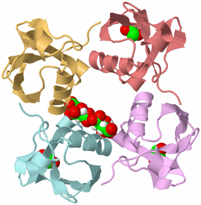 Image Biological Unit 2